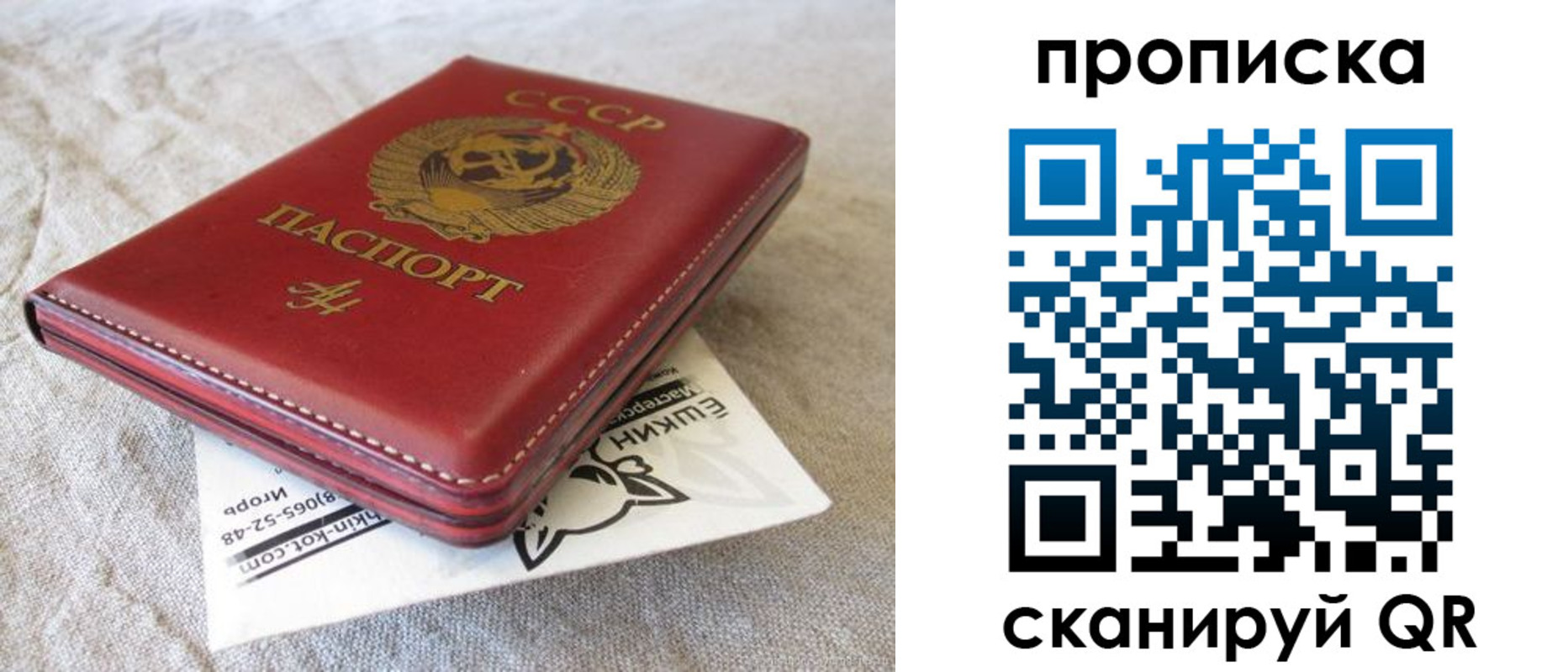 прописка для школы в Озёрске